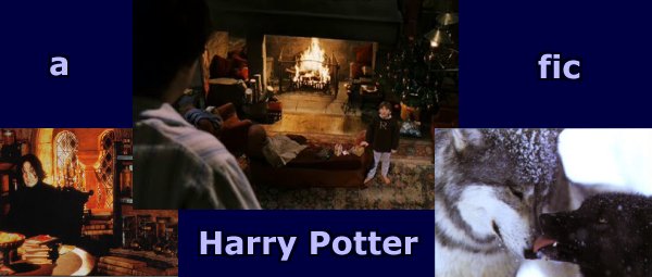 a Harry Potter fic