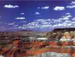 petrified