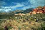 redrock