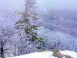 kingmtn