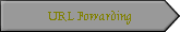 URL Fowarding