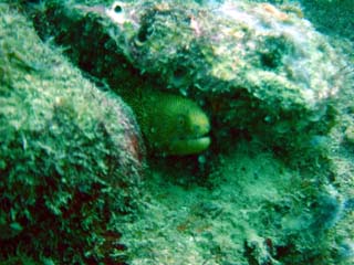 Dsc00063