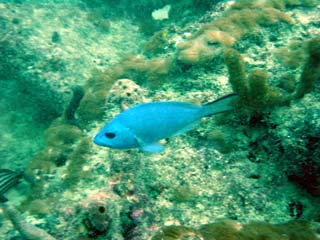 Dsc00079