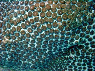 Dsc00080