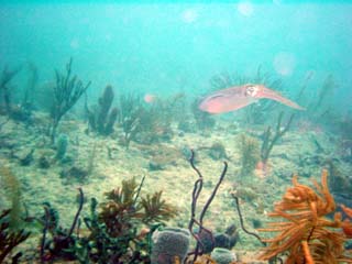Dsc00100