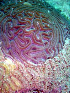 Dsc00103