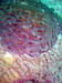 Dsc00103