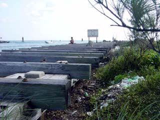 Dsc00015