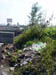 Dsc00014