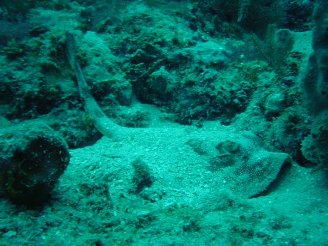 DSC00038