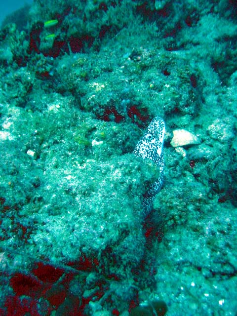Dsc00026