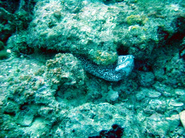 Dsc00027
