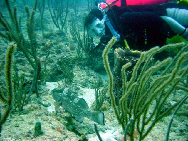 Dsc00044