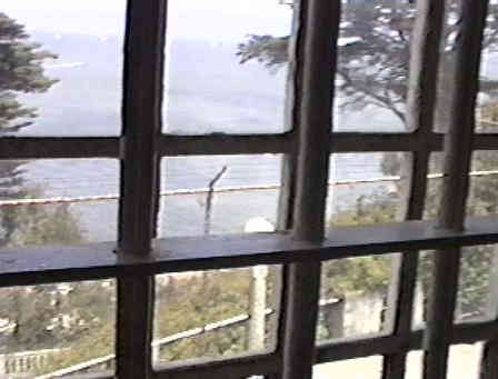 Looking out widow