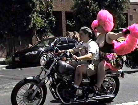 The Pink balboa