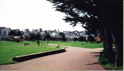 Looking at skyline from trail.