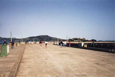 Looking out on the Municipal Pier.