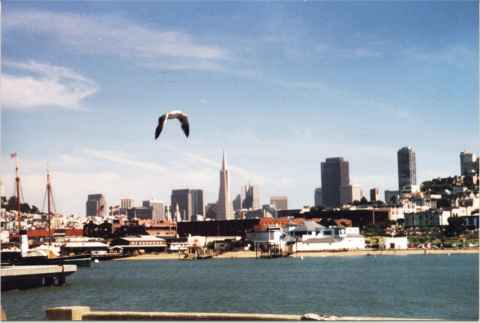 Photo from end of pier.