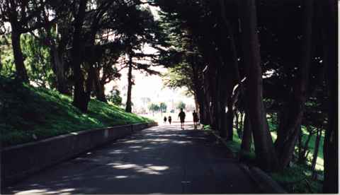 Walking down trail toward park.