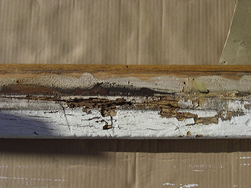 doorsillrepair-dsc01576.jpg