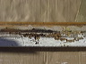doorsillrepair-dsc01576