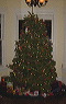 treeathome
