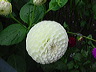 dsc01619