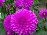 dsc01620