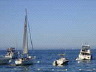 dsc00905