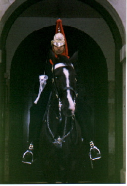 horseguard4
