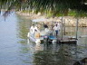 dsc00808