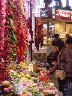 spain01506