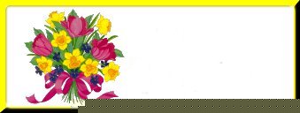 Calling Card 11