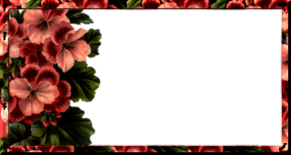 Calling Card 6