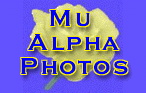 Mu Alpha Photos