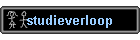 studieverloop