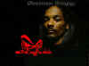 resizedsnoop1.jpg (12380 bytes)