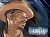 resizedsnoop4.jpg (22430 bytes)