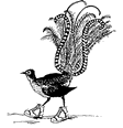 sgwaac logo