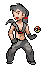 About Cobalt, Gym Leader of Rosefield City