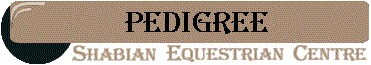 HEAD_PED.gif (7796 bytes)