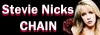 Stevie Nicks Chain .com