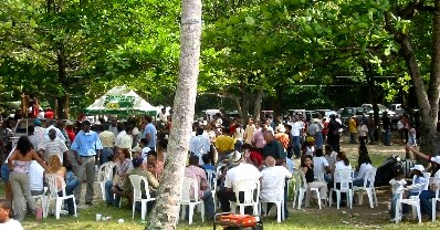 crowd