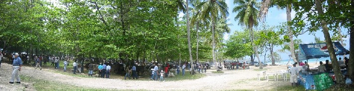 fairpanarama01