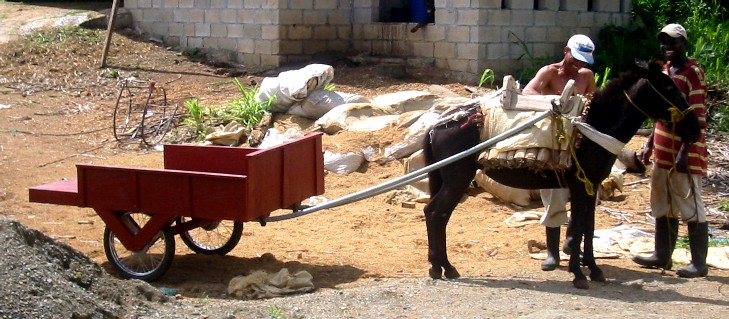 mule cart