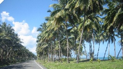 road to nagua