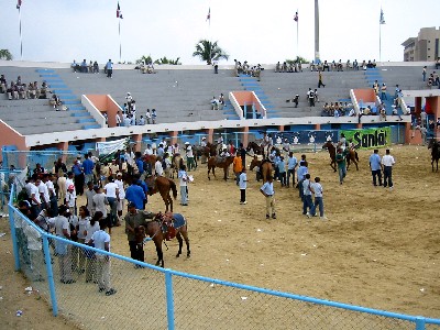horserides