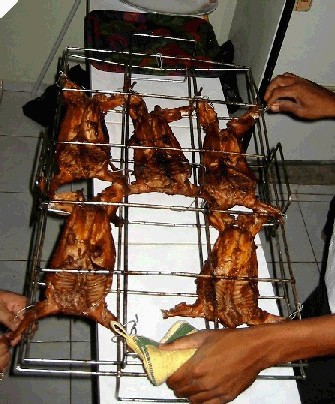 roast rabbit