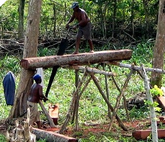 saw in action