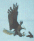 Eagle Pic